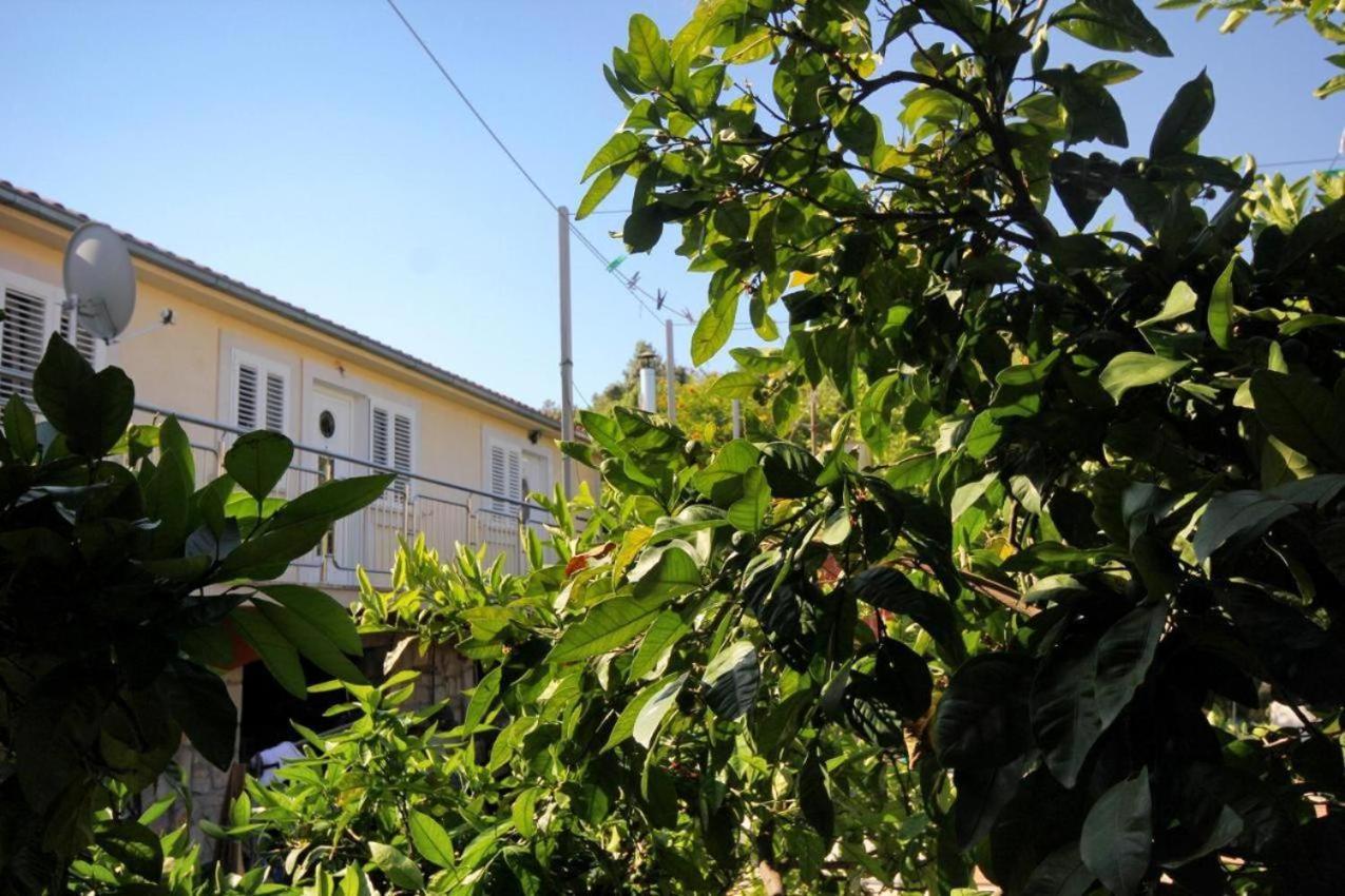 Guesthouse Gradina Lovište Kültér fotó